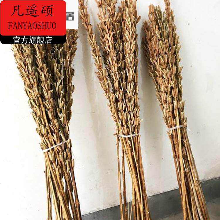 芝麻杆子干枝秸秆梗搬家乔迁新居用品芝麻开花节节高喜庆装饰道具