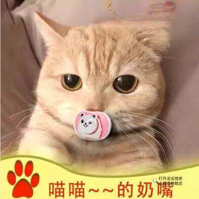 小猫咪安抚奶嘴宠物猫用安抚奶嘴专用神器新生幼犬幼猫睡觉磨牙玩图片