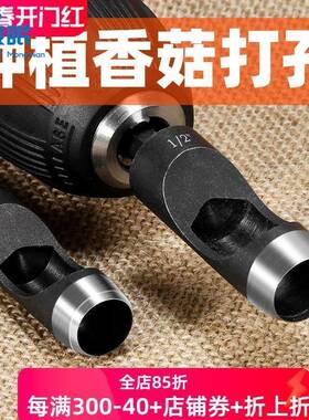 菌种椴木香菇菌种电动打孔锤木耳种植双头打孔器手工铁打冲子工具