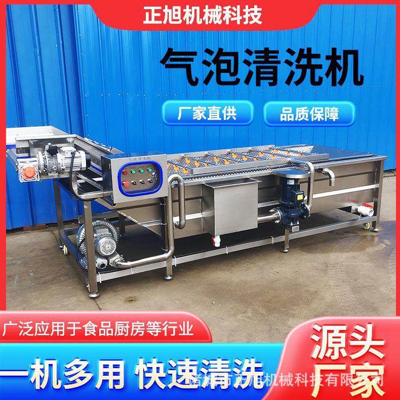 全自动大型蔬菜洗菜机不锈钢酸菜泡菜加工设备辣椒气泡清洗机