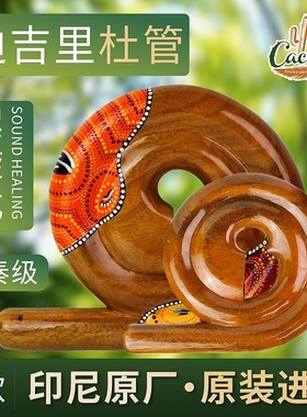 卡杜斯迪吉里杜管螺旋型Didgeridoo 便携式印尼进口声音疗愈乐器