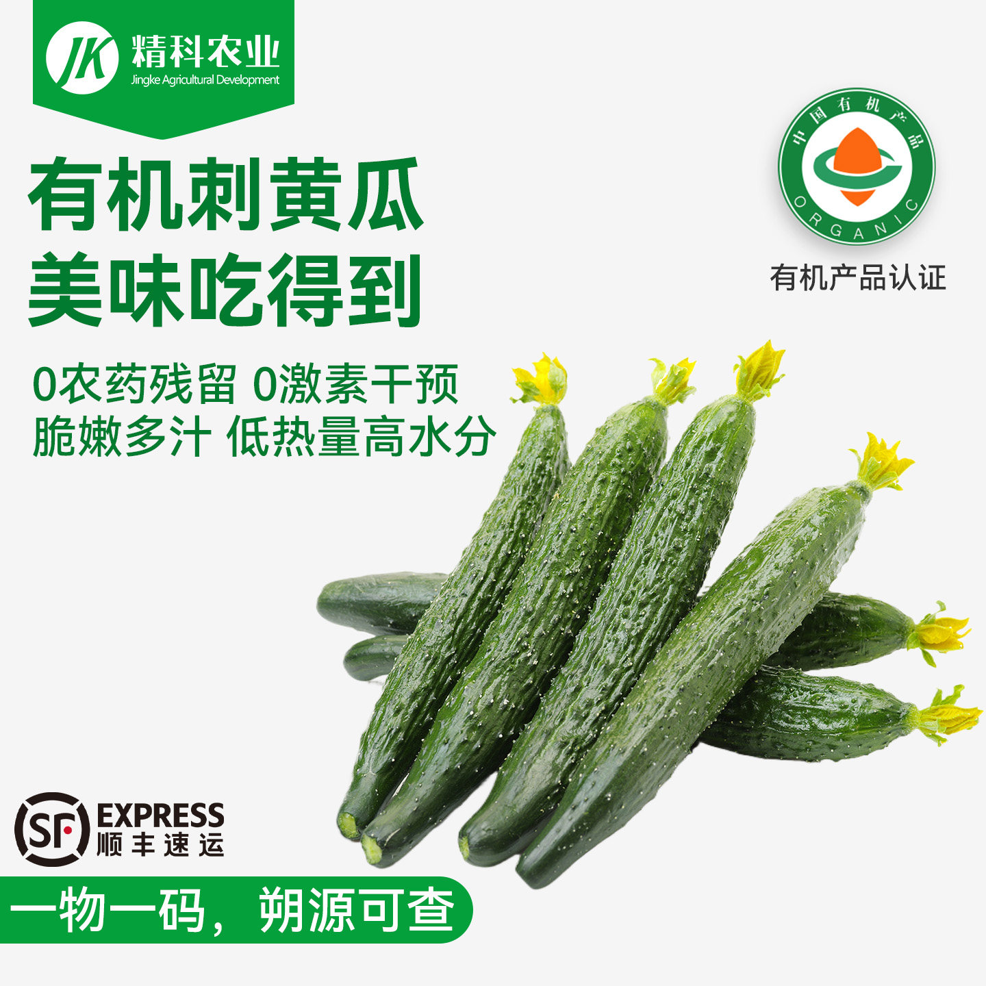 精科有机黄瓜新鲜蔬菜当季现摘现发自然熟黄瓜精选甜黄瓜农家自种,水产肉类/新鲜蔬果/熟食,黄瓜,淘宝优惠券,粉丝福利购,淘宝优惠卷
