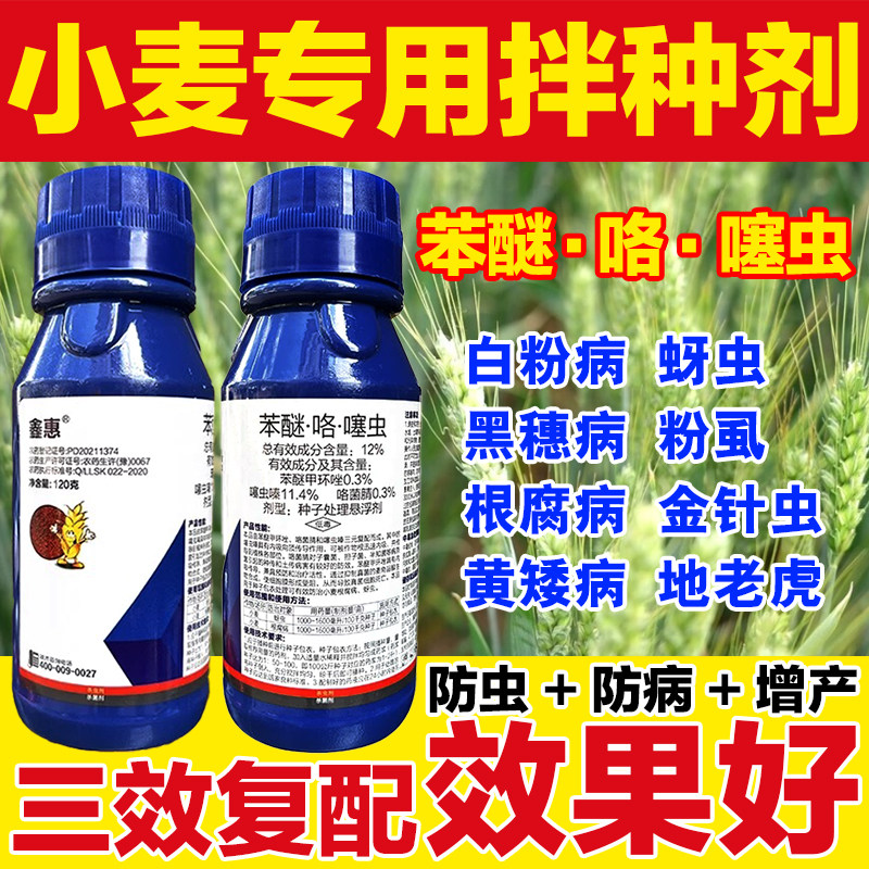 小麦拌种剂专用农药苯醚防虫防咯噻虫大蒜小麦专用拌种包衣剂正品