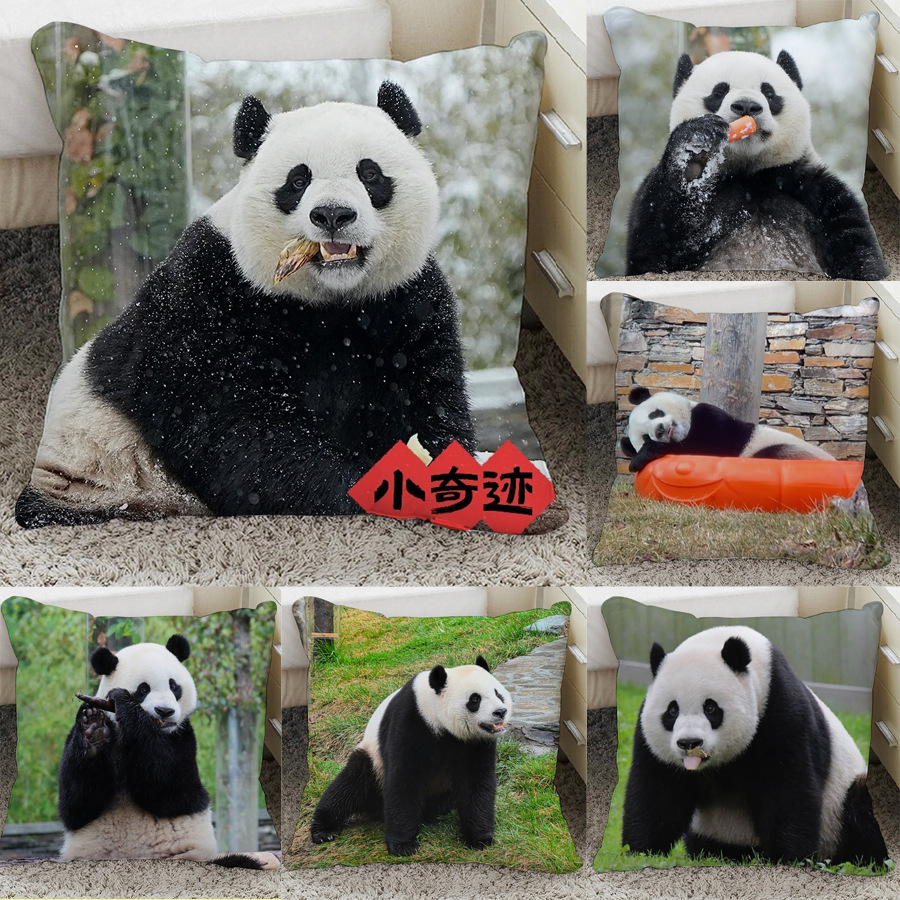大熊猫小奇迹手办周边图