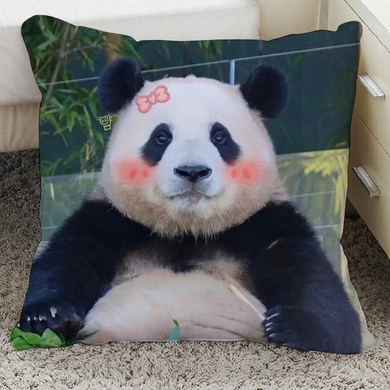 福宝抱枕头手办周边动漫d