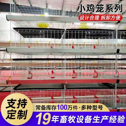 小鸡笼育雏笼4层幼苗鸡笼立式大型养殖场加粗加密含水食槽接粪盘