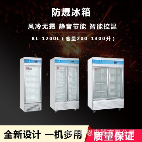 防爆冰箱 BL-1200LC200L立式冷藏冰柜单门200L