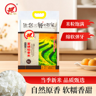 圣牛大米长粒香富硒猫牙米2025当季新米农家丝苗米10斤真空装香米