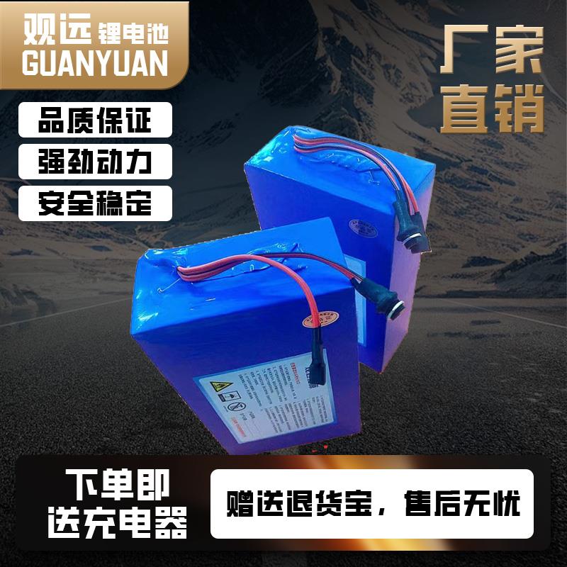 电动车电池48V锂电池48V36V电动自行车电瓶24V单车电池可定制尺寸