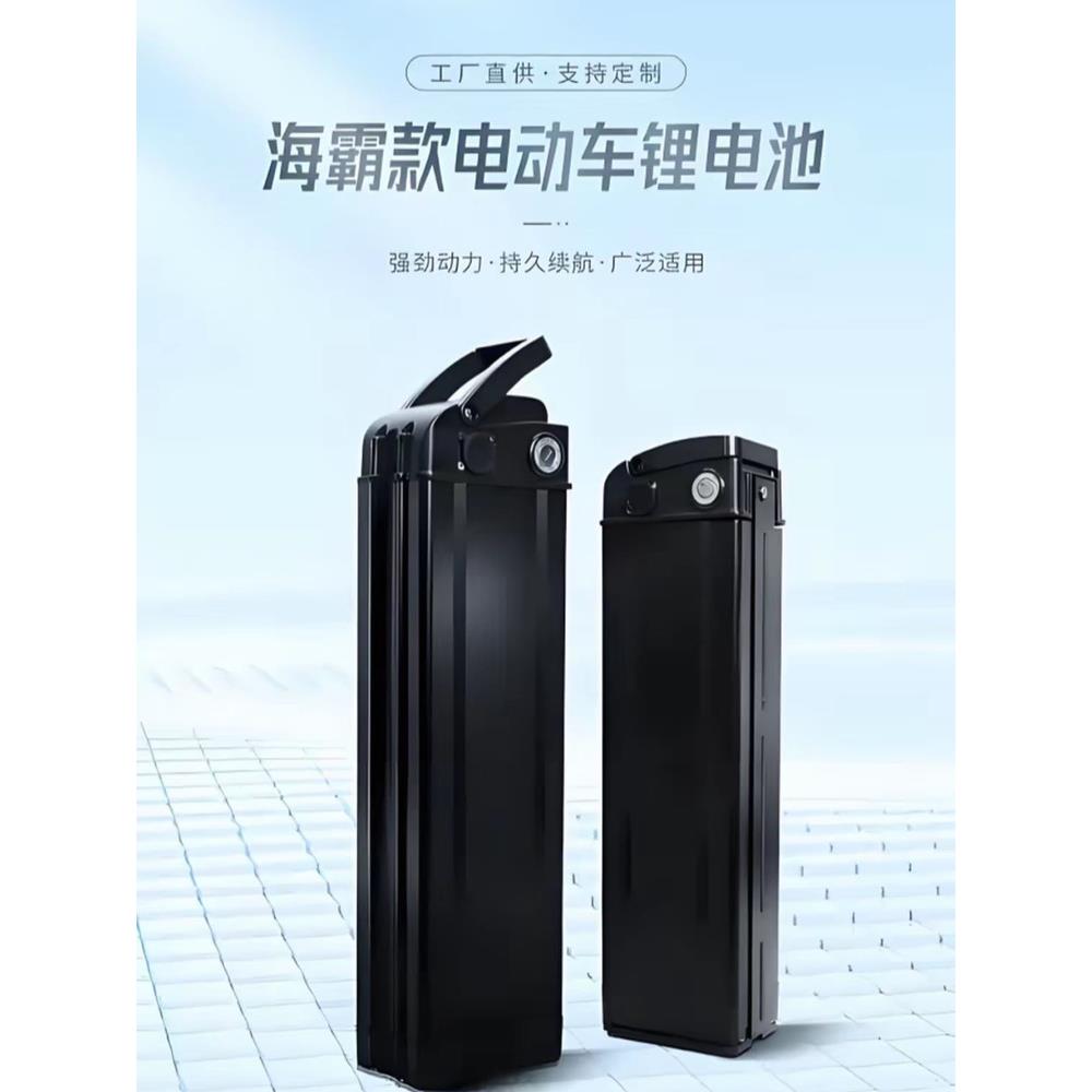 永久款48v20ah代驾专用电动车锂电池海霸款银鱼e14M321折叠车代驾