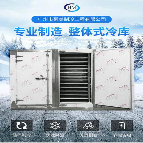 速冻柜新鲜水果海鲜牛肉移动急冻冷库速冻节能箱式