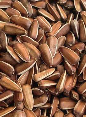 保山施甸水果瓜子（当季新货）有水果味的瓜子