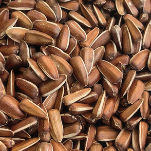 保山施甸水果瓜子(当季新货)有水果味的瓜子