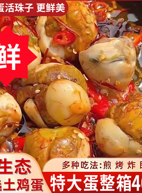活珠子鸡蛋13天开袋即食五香香辣味新鲜熟毛蛋零食钢化鸡胚蛋喜蛋
