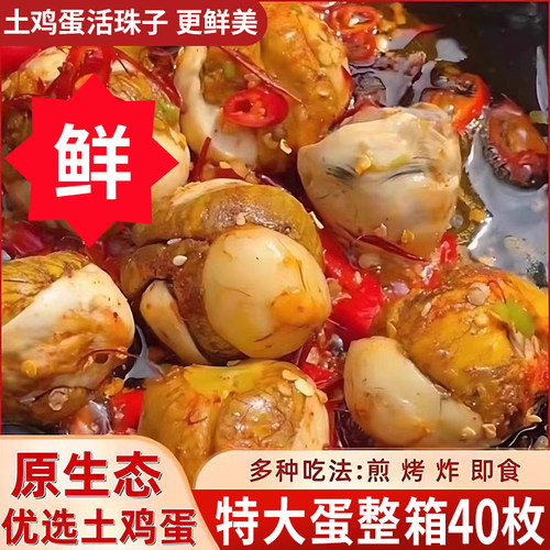 【活珠子13天】巨营养巨鲜