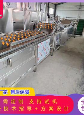 山楂香梨气浴喷淋清洗机全自动清洗果蔬加工设备苹果清洗机