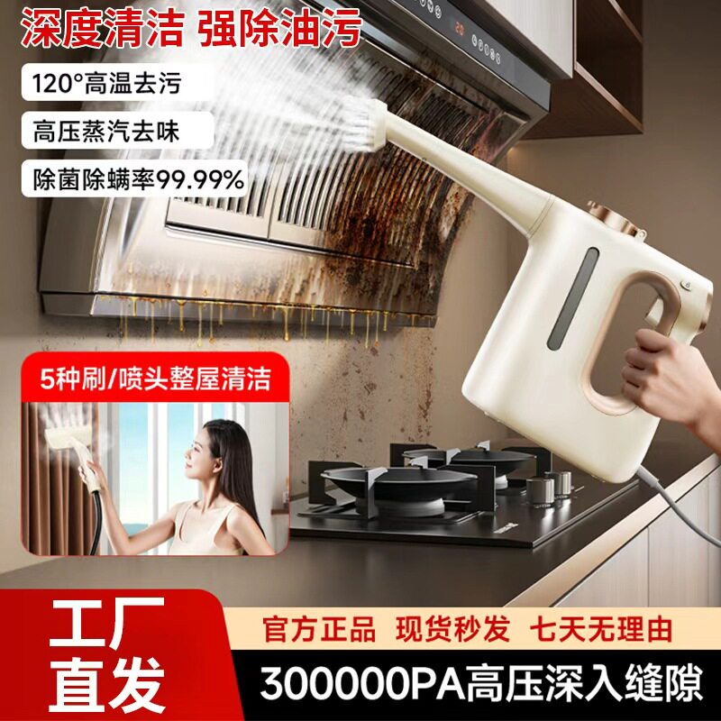 蒸汽清洁机家用高温高压全屋清洗厨房家电蒸汽拖把小型多功能