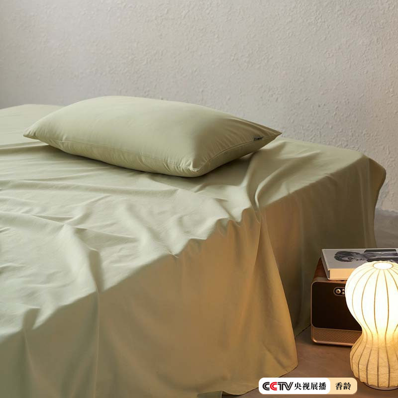 A类加厚磨毛全棉单品纯色100纯棉长绒棉被套单床单秋冬超柔保暖