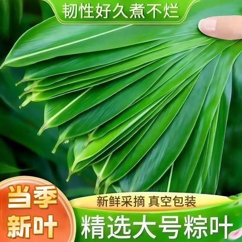 当季新叶粽叶真空包装学包正宗粽子叶家用绿叶加长版长款叶子粑粑