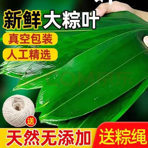 粽子叶新鲜大粽叶包粽子用野生天然家用真空袋装粽叶子箬竹叶批发