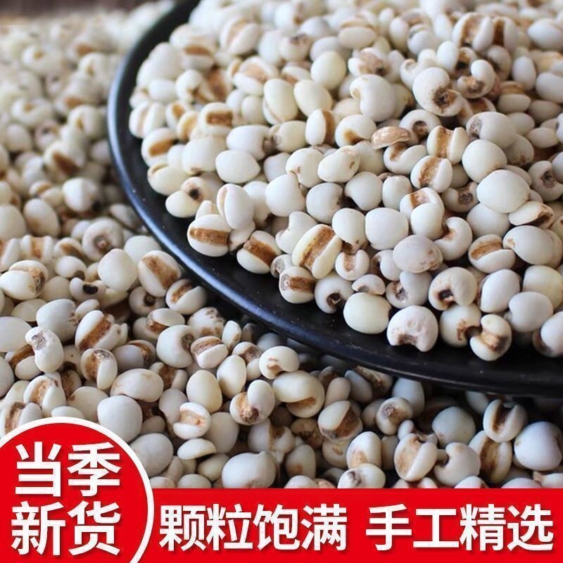 【新货】正宗薏米仁农家小薏米红豆粥非赤小豆五谷杂粮新货薏仁米