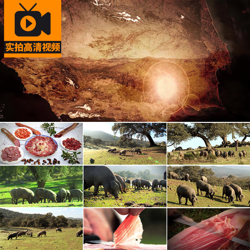 黑猪生态养殖场山猪放养伊比利亚猪肉火腿切片特写火腿肠视频素材