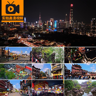 4K上海豫园城隍庙夜景九曲桥灯会人群人流旅游风景点景区视频素材