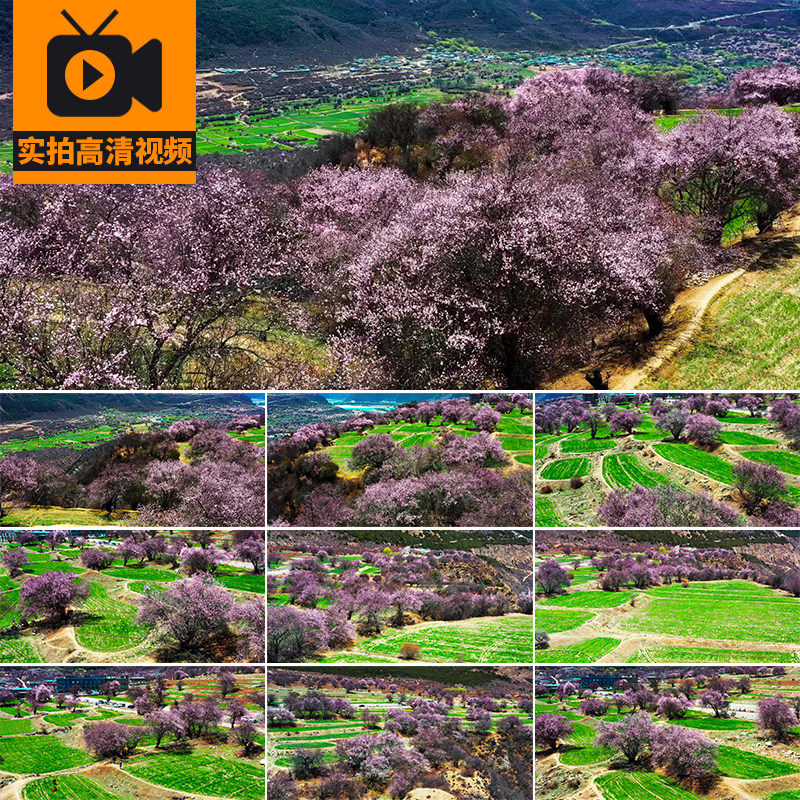 西藏林芝风光桃花园航拍波密桃花沟藏族村落风景旅游实拍视频素材