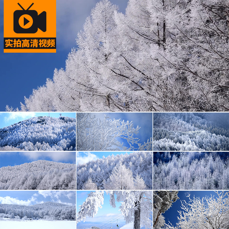 森林冰雪景树木结冰树枝挂雪冬天下雪天树林雾凇实拍高清视频素材