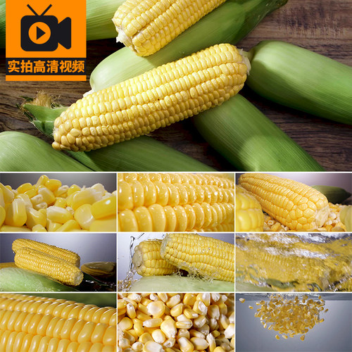 新鲜玉米特写玉米粒入水升格镜头嫩玉米苞米剥开玉米实拍视频素材