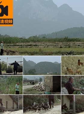 大山区农村乡村孤寡老人瓦房土屋留守孤独老年生活老房子视频素材