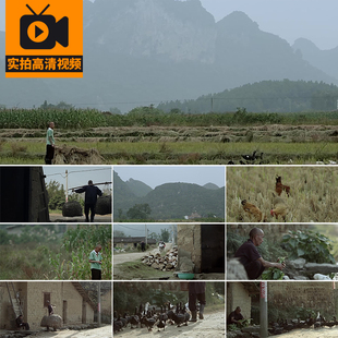 大山区农村乡村孤寡老人瓦房土屋留守孤独老年生活老房子视频素材