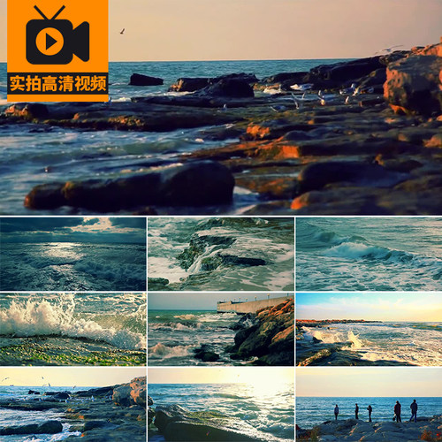 大海碧水蓝天海鸥日落浪花沙滩海边海浪沙滩海岸风景实拍视频素材
