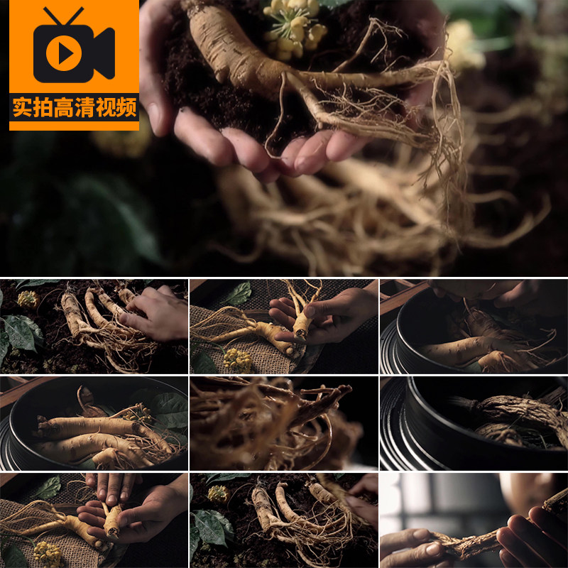 中药材人参中药野生人参中医药材野山参材保健品高清实拍视频素材