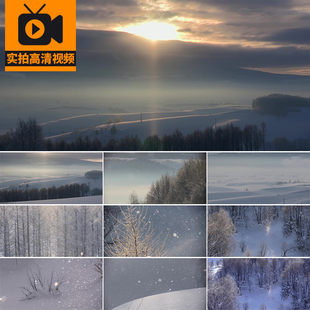 冬季森林飘雪下雪景冬天树林树木大雪积雪地冰雪风景实拍视频素材