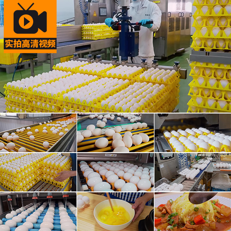 鸡蛋工厂流水线清洗加工装箱包装制作烹饪美食养殖场实拍视频素材