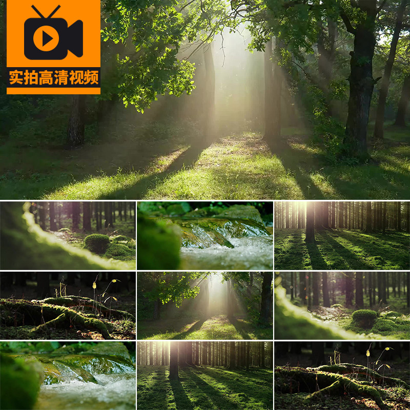 森林树林小溪流水丁达尔光夏日阳光照射光线春天自然风景视频素材