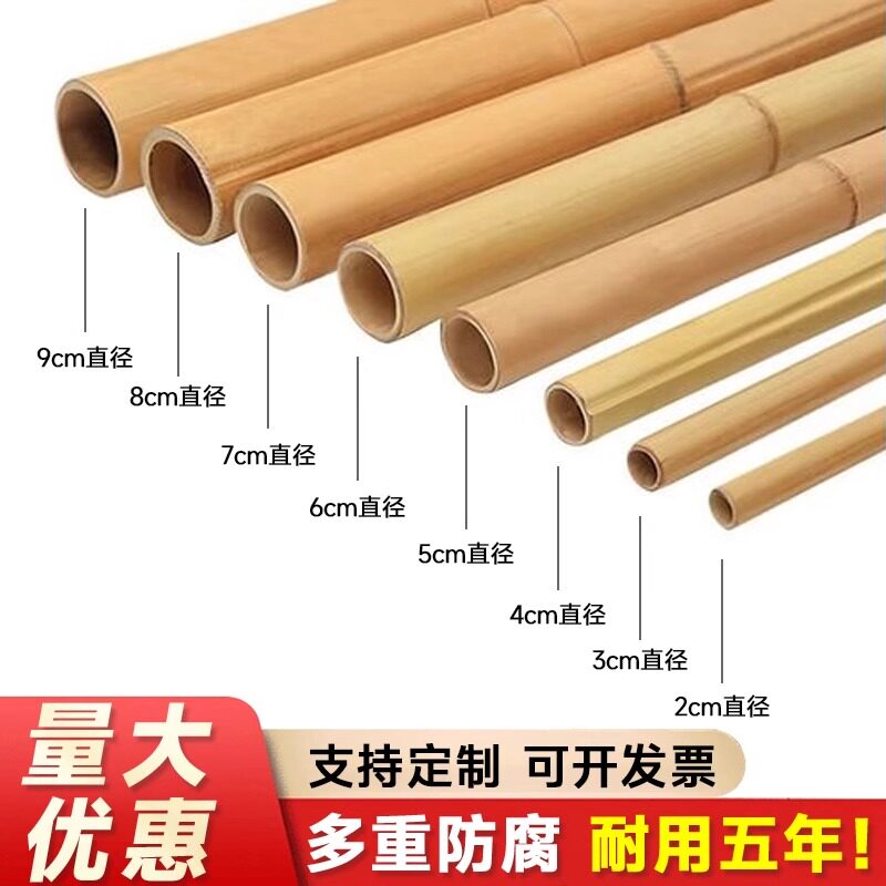 竹竿菜园搭架竹杆蔬菜黄瓜番茄豆角葡萄架杆竹篱笆栅栏小竹子