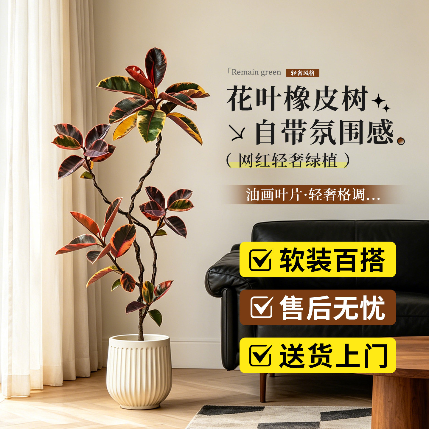 造型花叶橡皮树客厅大盆栽老桩黑金刚黄金榕室内绿植物红关公盆景