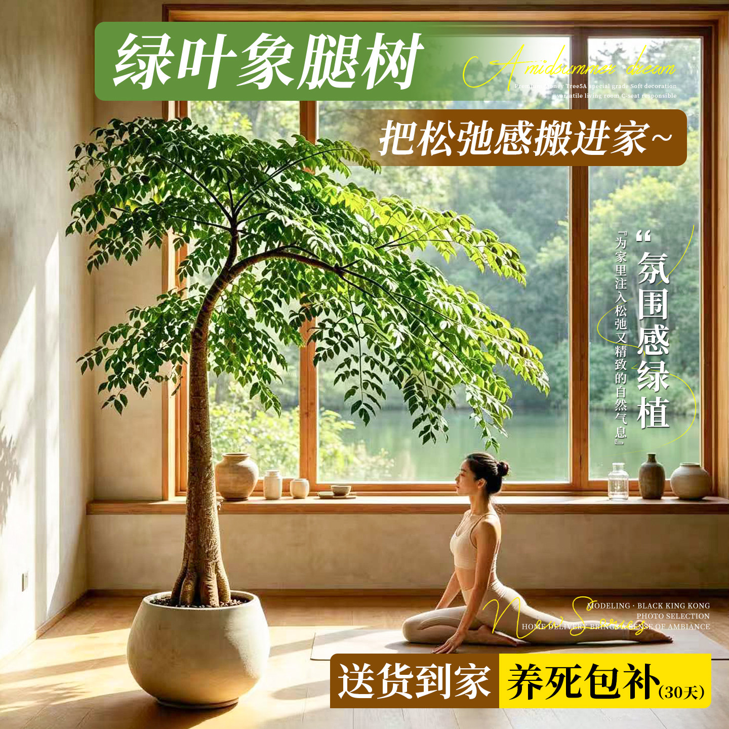 网红造型象腿树大型绿植盆栽室内客厅落地式好养植物四季常青