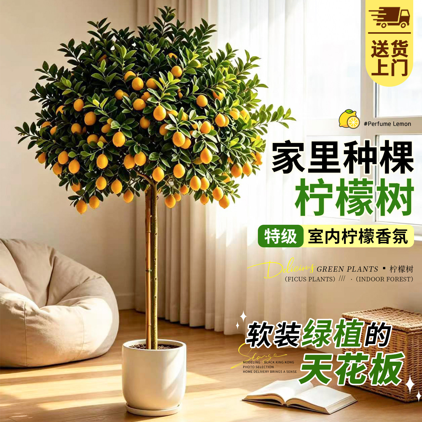 香水柠檬树大型阳台好养植物盆栽
