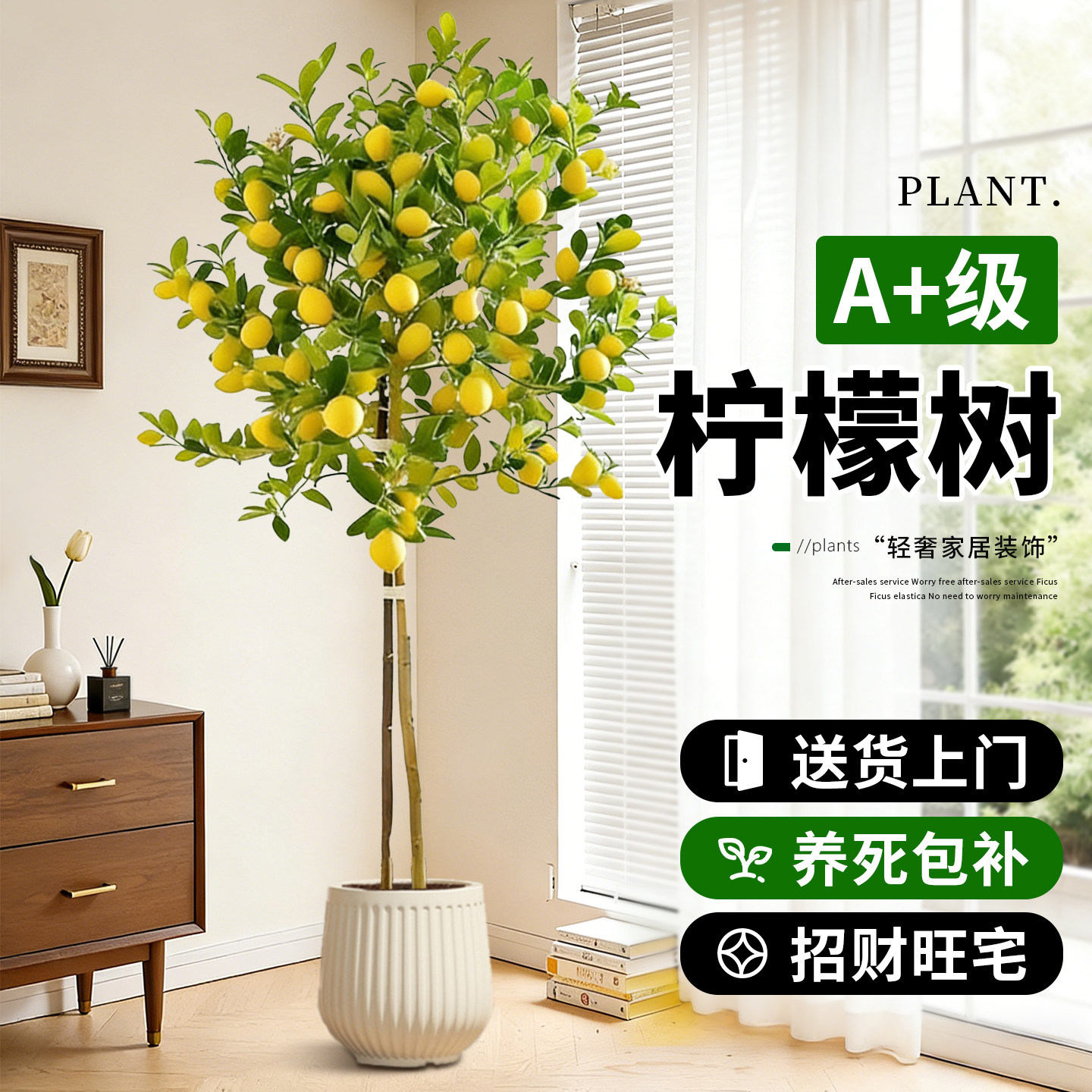 带果香水柠檬树高级感客厅绿植盆栽大型室内办公室老桩盆景植物
