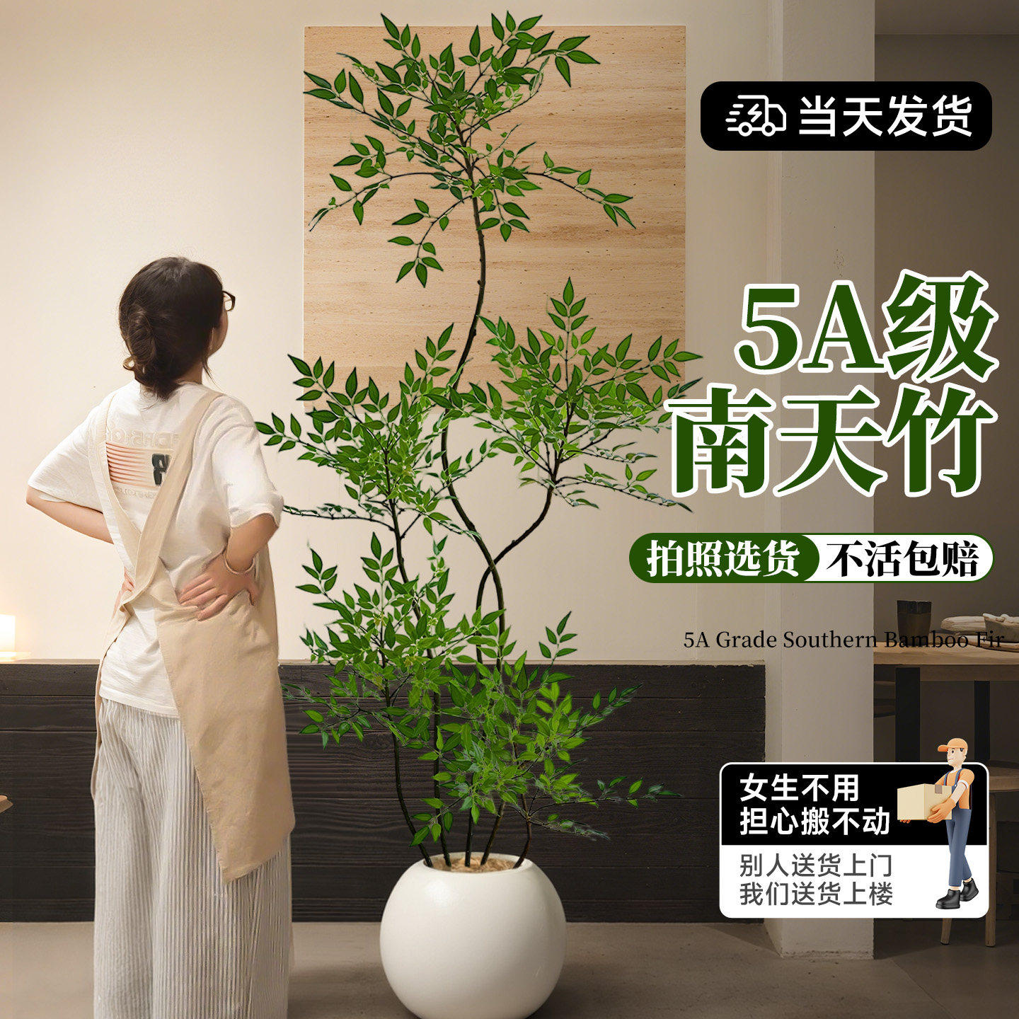 南天竹盆栽客厅大型植物绿植高级感真树办公室内高端落地大号盆景