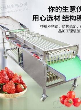 中圣天百香果分选机厂家李子柑橘分级机全自动沃柑选果机设备