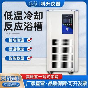 5L低温恒温槽上海科升厂家直销 低温冷却反应浴槽DFY