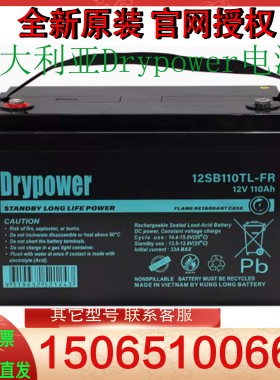 澳大利亚Drypower电池12SB110TL-FR 12V110AH备用长寿命蓄电池