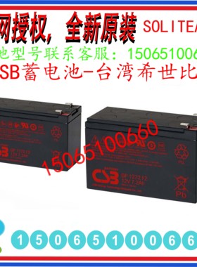 CSB蓄电池12V120AH GP121200 希世比太阳能发电厂基站专用进口