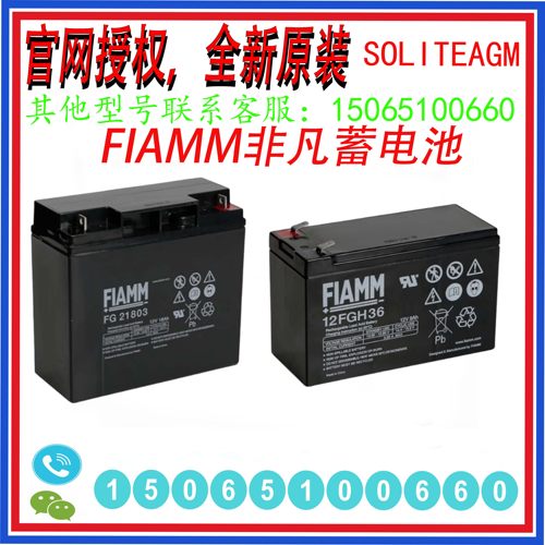 FIAMM非凡蓄电池FG1012FGH20502