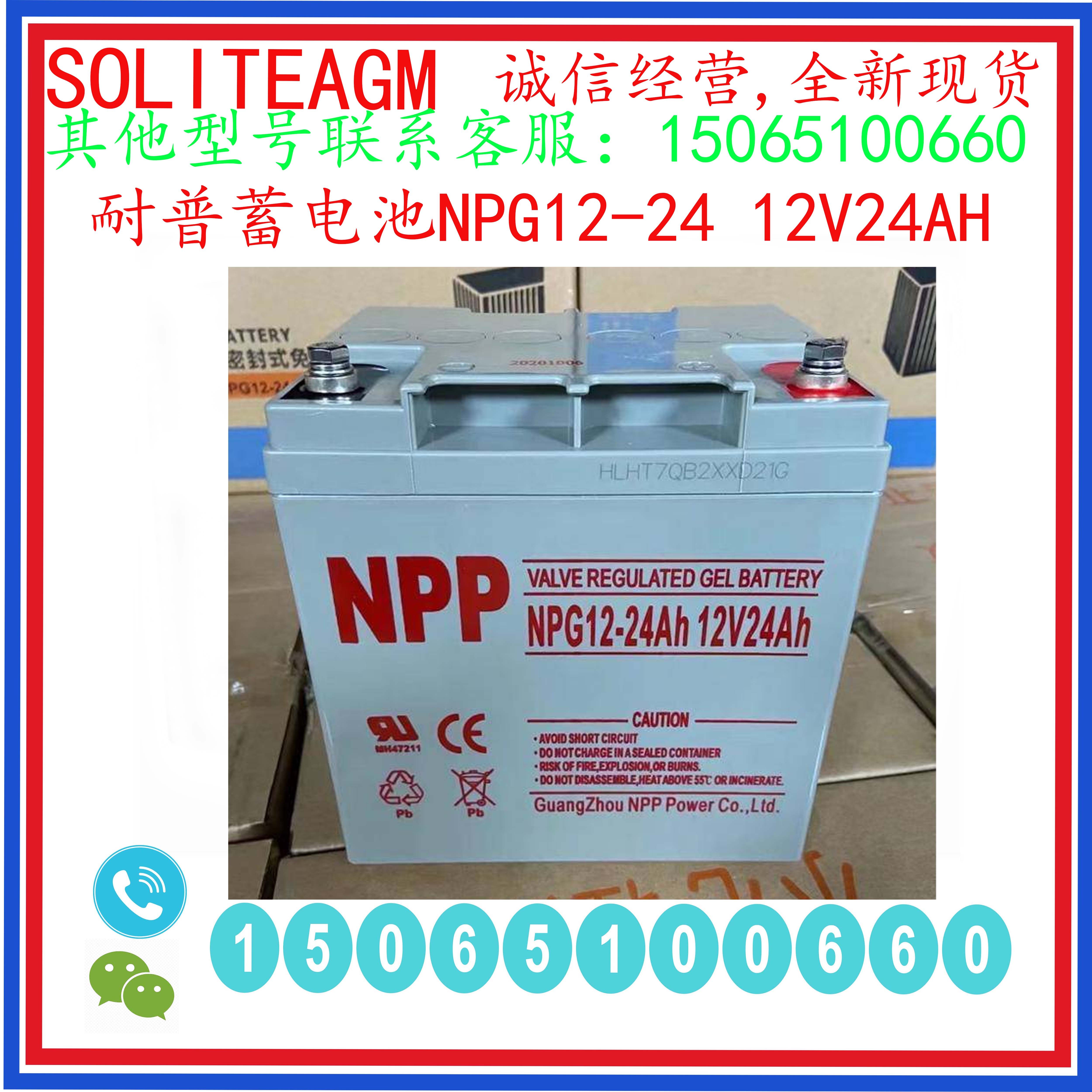 NPP耐普蓄电池NPG12-2412V24AH
