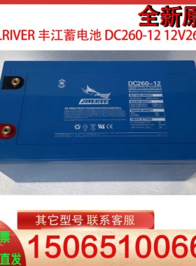 FULLRIVER 丰江蓄电池 DC260-12 12V260AH船舶机房直流屏动力系统